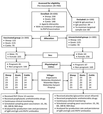 Safety, Immunogenicity and Antibody Persistence of Rift Valley Fever Virus Clone 13 Vaccine in Sheep, Goats and Cattle in Tanzania